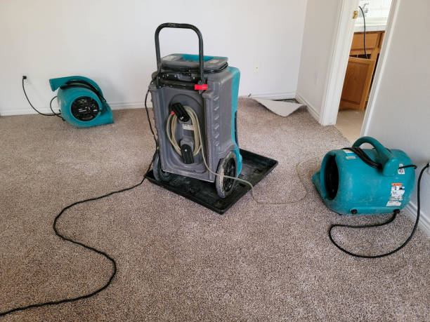 Best Flooded house restoration  in Limestone Creek, FL