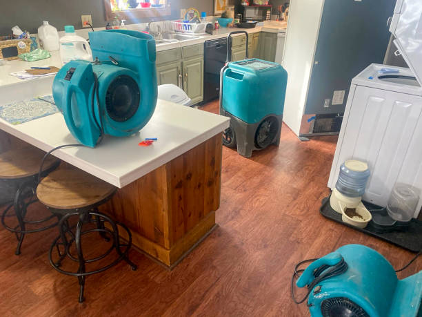 Best Basement water damage restoration  in Limestone Creek, FL