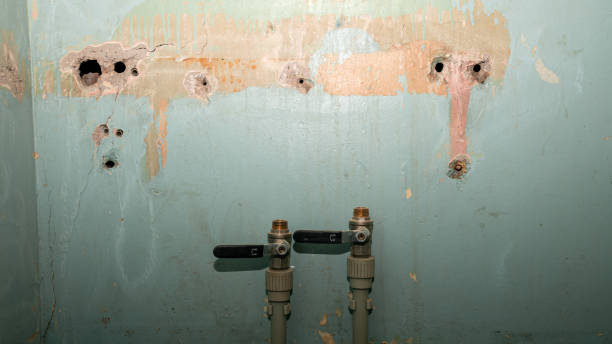 Best Flood restoration services  in Limestone Creek, FL