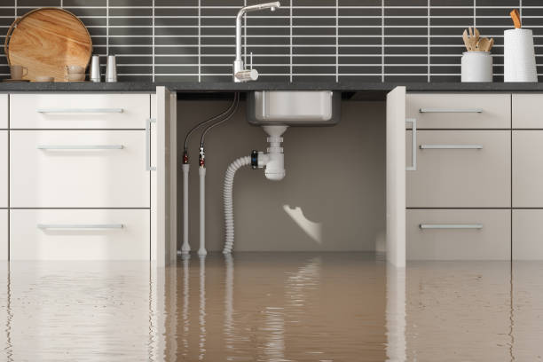 Best Sewage cleanup and water damage restoration  in Limestone Creek, FL