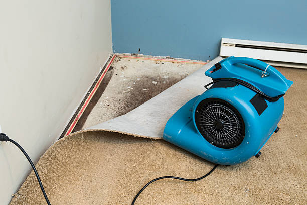 Best 24/7 water damage repair  in Limestone Creek, FL